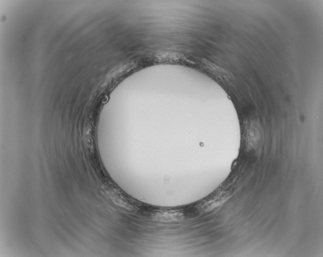 X0000060270619200511181421