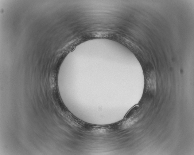 X0000060270620200511181421