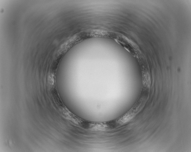 X0000060270621200511181421