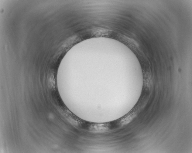 X0000060270622200511181421