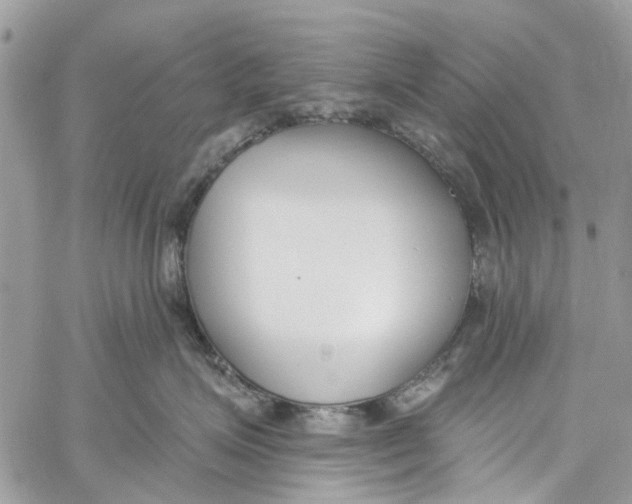 X0000060270623200511181421