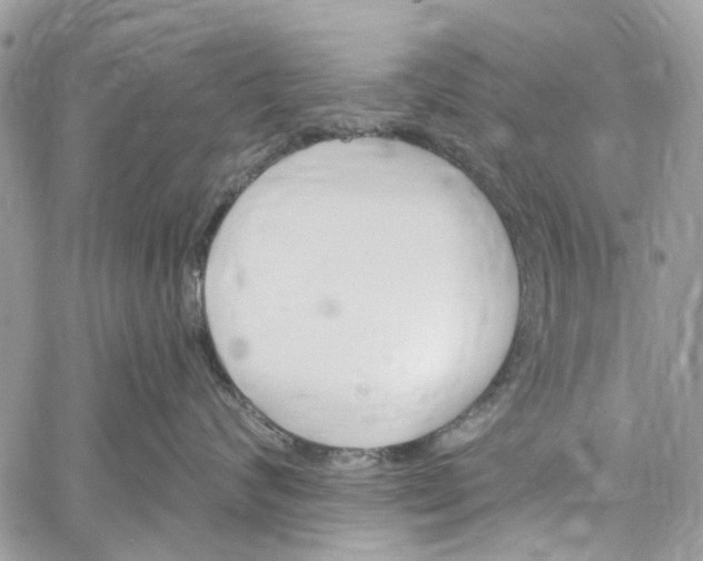 X0000060270624200511181421