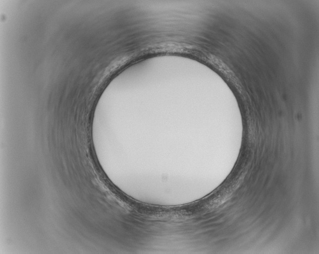 X0000060270625200511181420