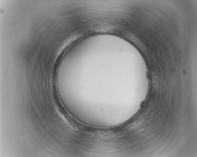 X0000060270626200511181420