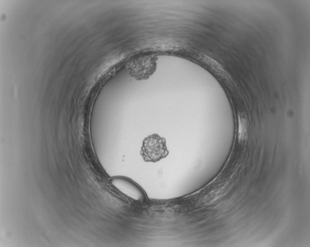 X0000060270627200511181420