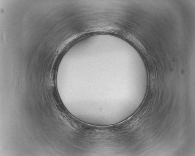 X0000060270628200511181420