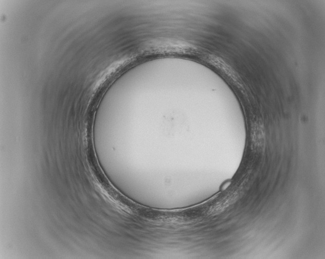 X0000060270629200511181420