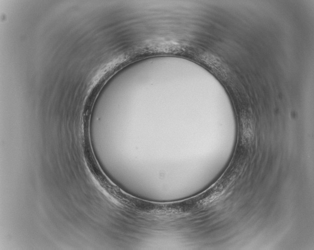 X0000060270630200511181420