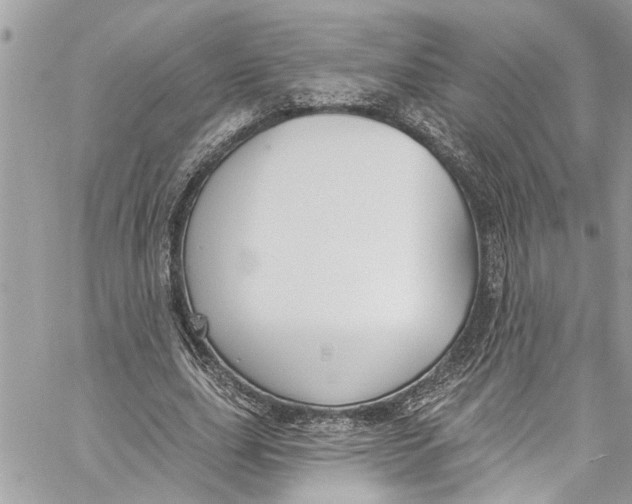 X0000060270631200511181420