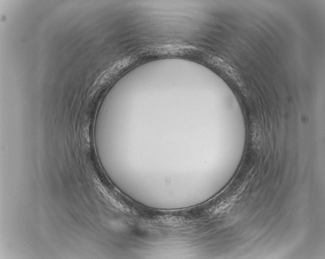 X0000060270633200511181420