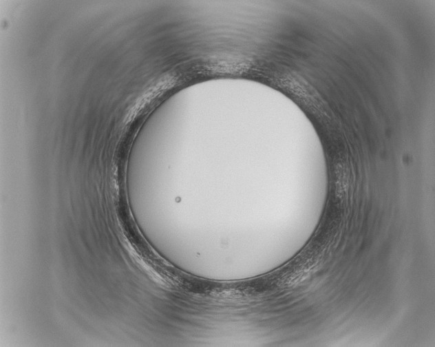 X0000060270634200511181420