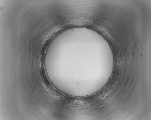 X0000060270635200511181420