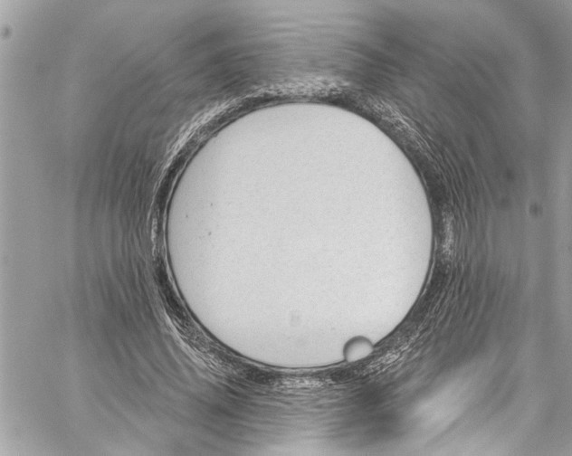 X0000060270636200511181420