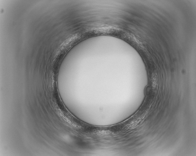 X0000060270637200511181420