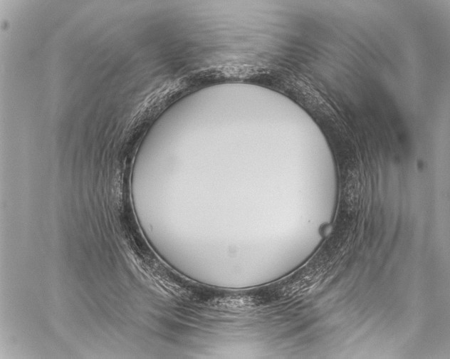 X0000060270639200511181420