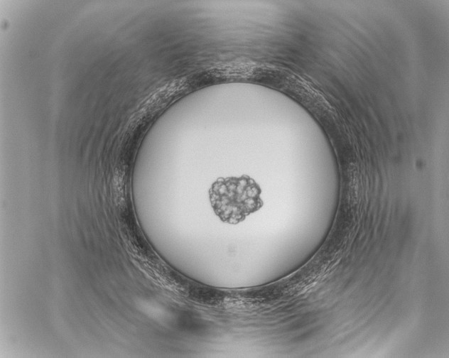 X0000060270641200511181420