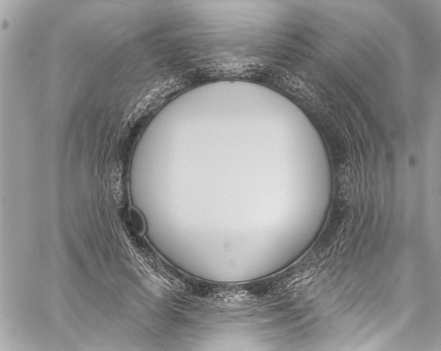 X0000060270642200511181420