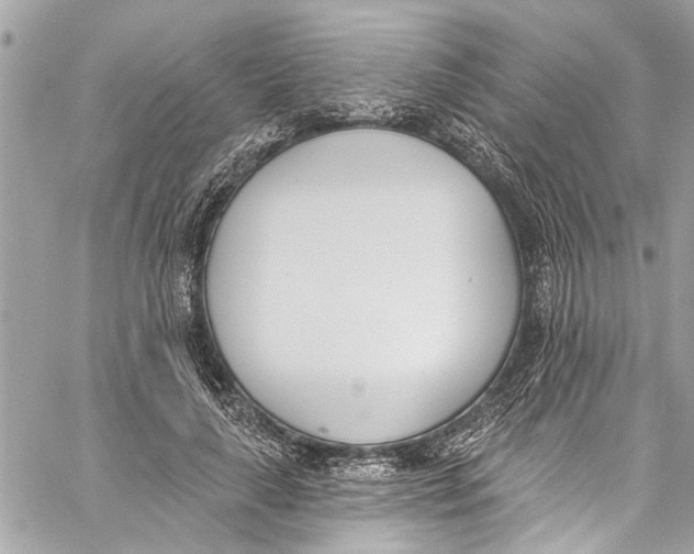 X0000060270643200511181420