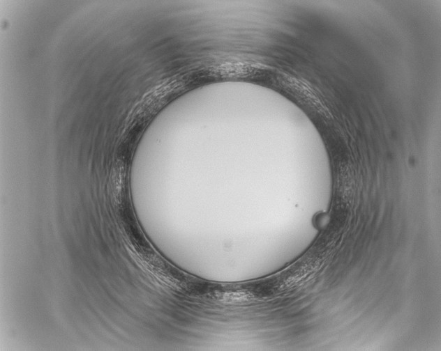 X0000060270645200511181420