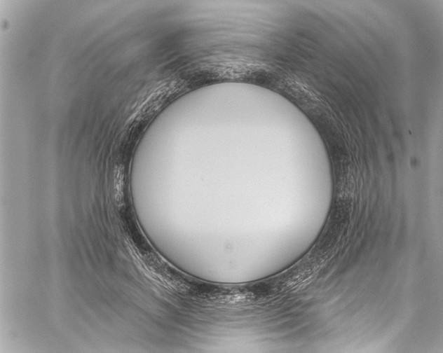 X0000060270646200511181420