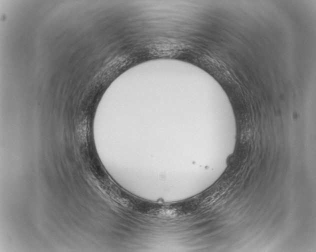 X0000060270647200511181420