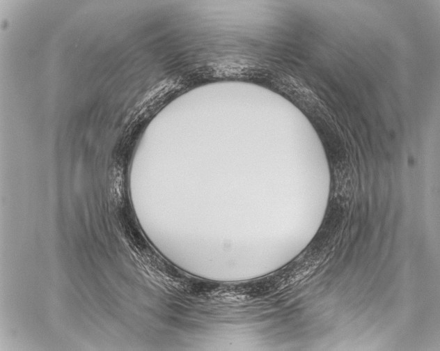 X0000060270648200511181420