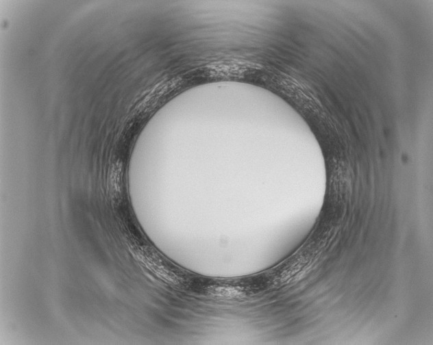 X0000060270649200511181420