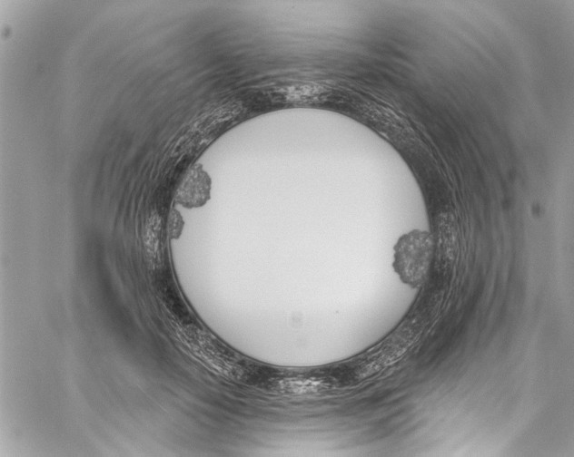 X0000060270650200511181420