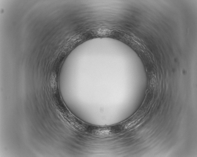 X0000060270651200511181420