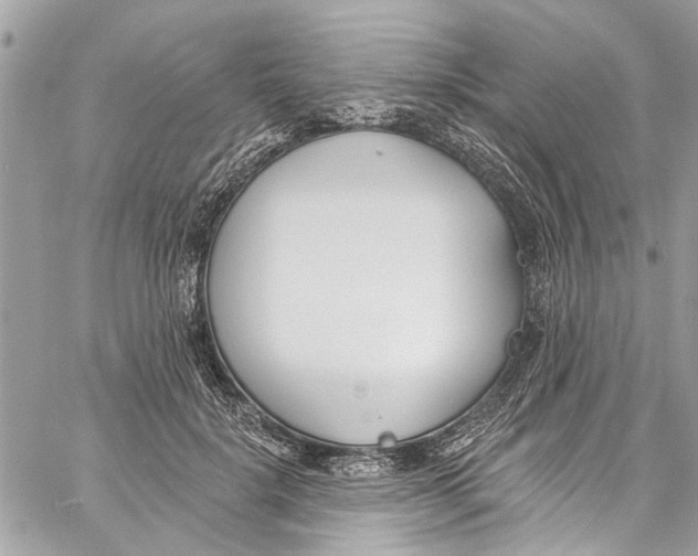 X0000060270652200511181420