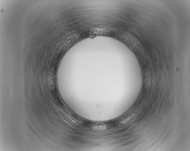 X0000060270653200511181421