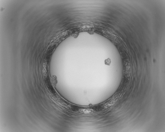 X0000060270654200511181421