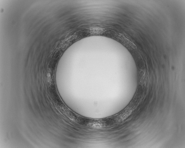 X0000060270655200511181421