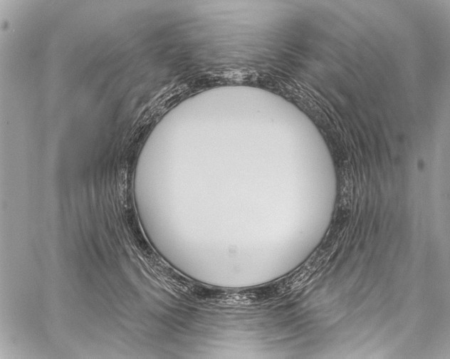 X0000060270656200511181421