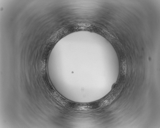 X0000060270657200511181421