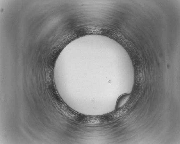 X0000060270658200511181421