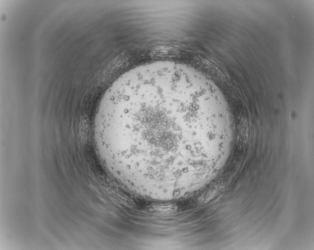 X0000060270659200511181421