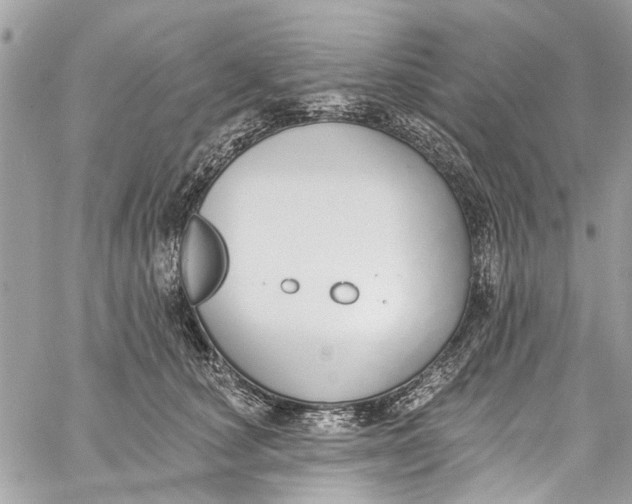 X0000060270660200511181421