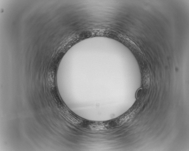 X0000060270661200511181421