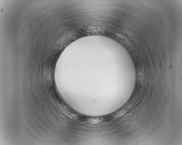 X0000060270662200511181421