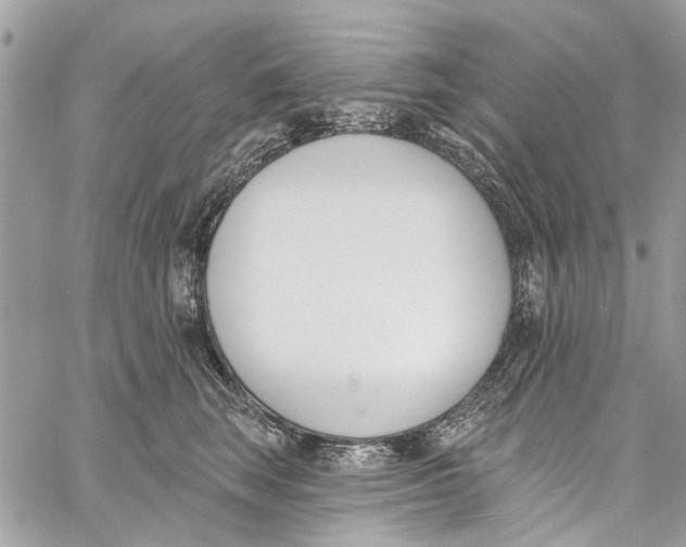 X0000060270663200511181421