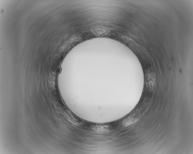 X0000060270664200511181421