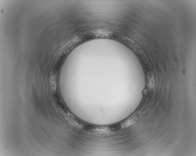 X0000060270666200511181421