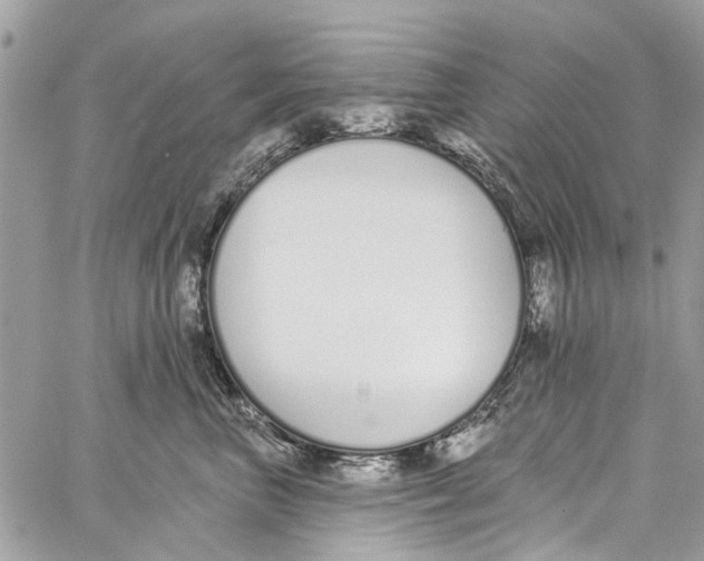 X0000060270667200511181421