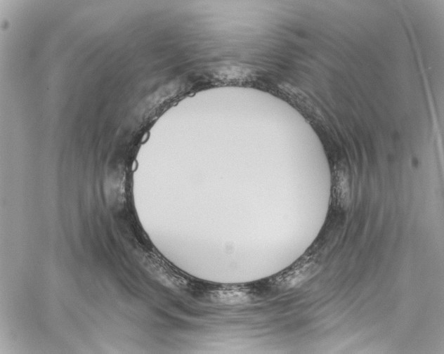 X0000060270668200511181421