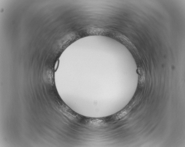 X0000060270669200511181421