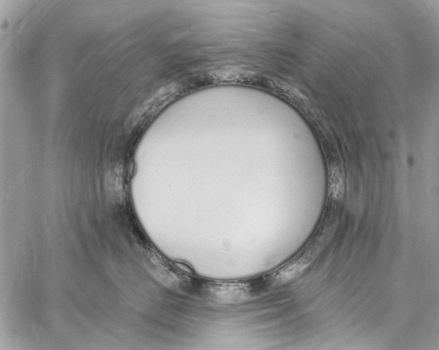 X0000060270670200511181421