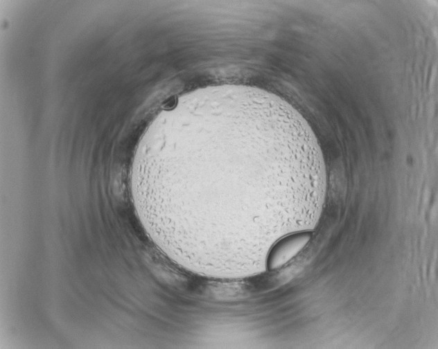 X0000060270671200511181421