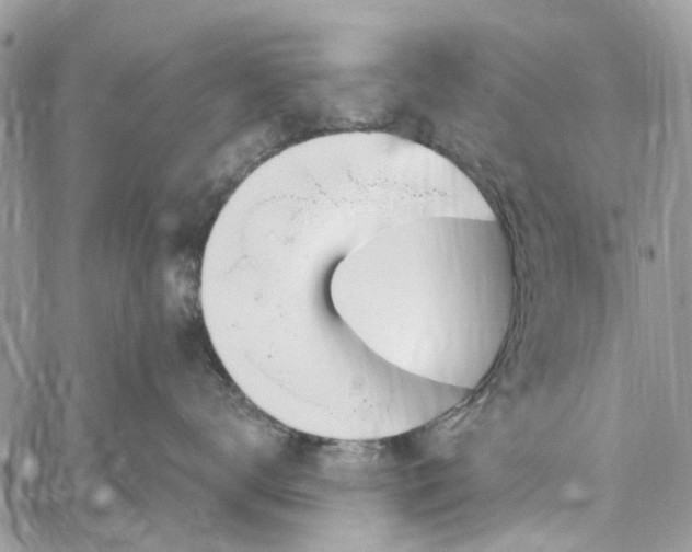 X0000060270672200511181421