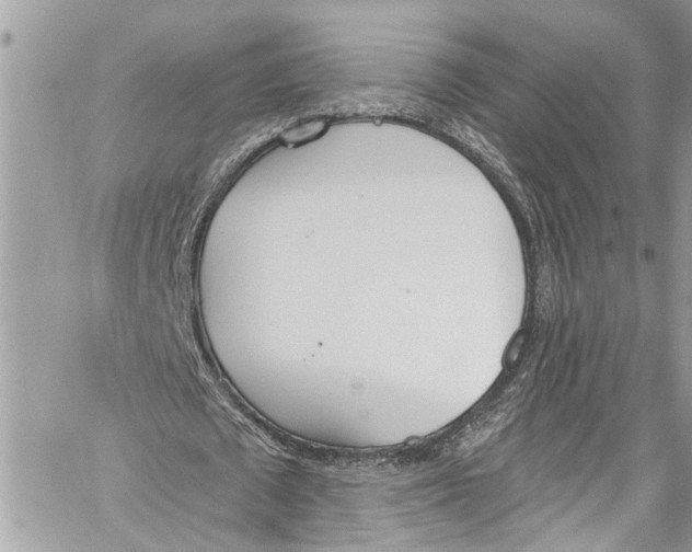 X0000060270673200511181420